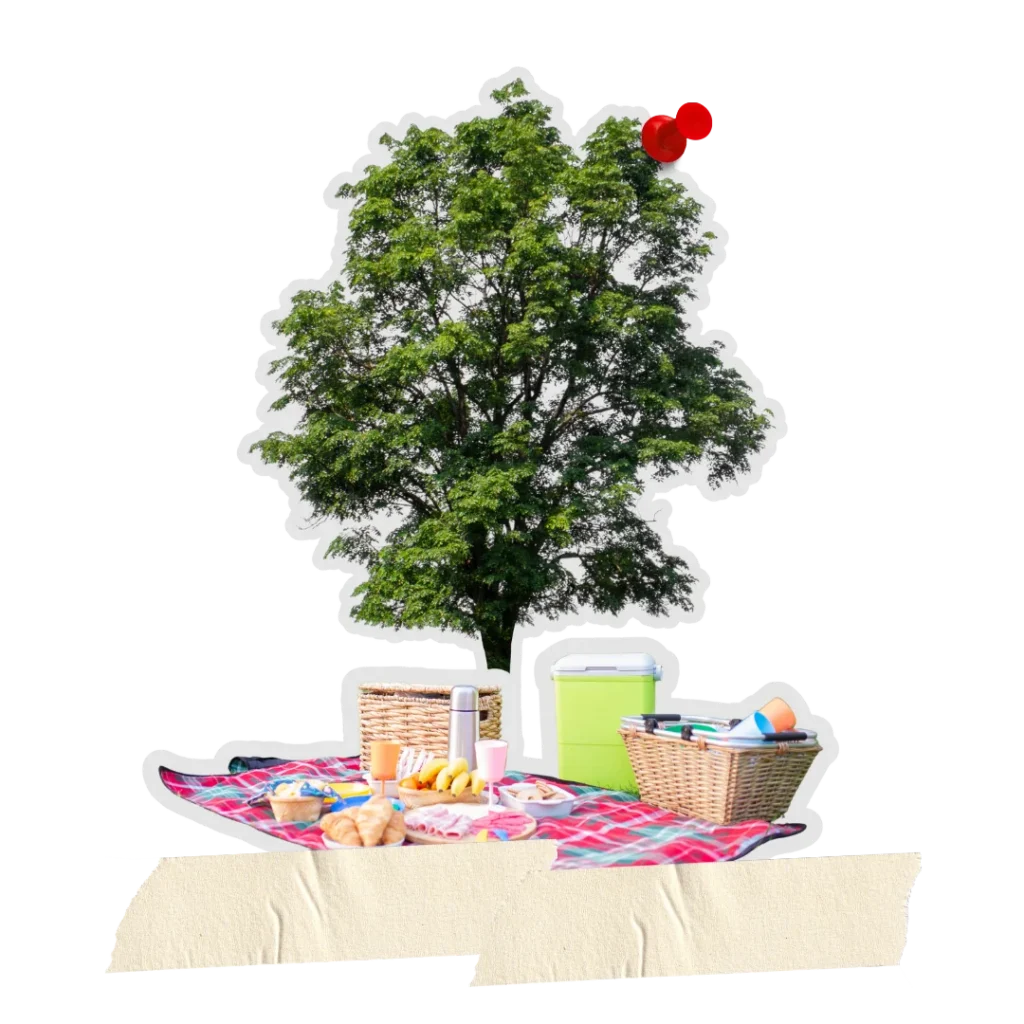 Planes baratos para estudiantes en Dublín