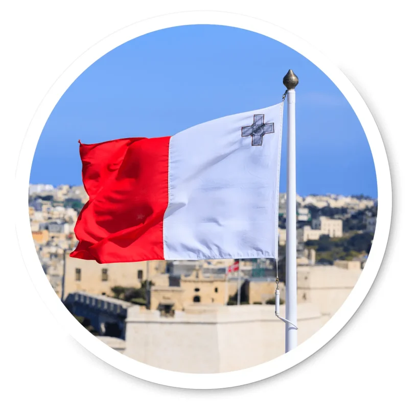 Banderas-3-1_4_11zon