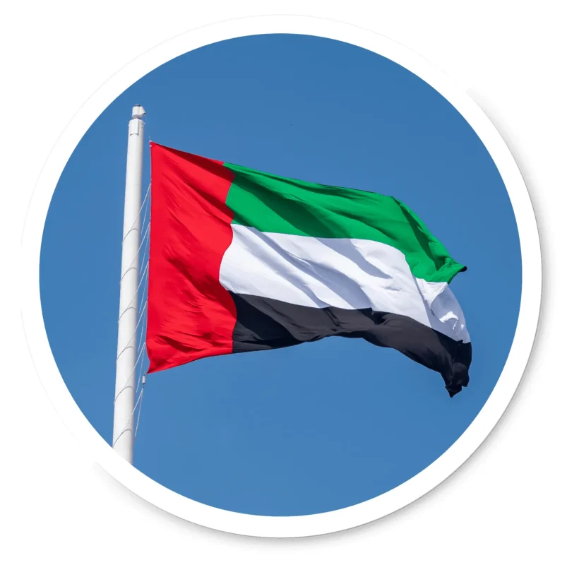 Banderas-5-1_6_11zon